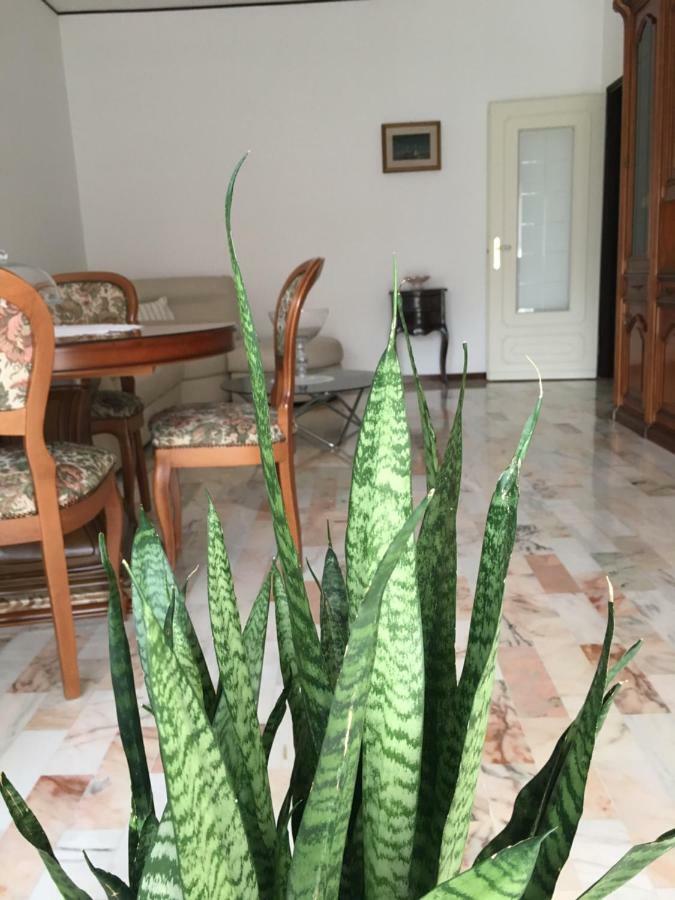 Flower'S Home Półwysep Sorrentyński Zewnętrze zdjęcie